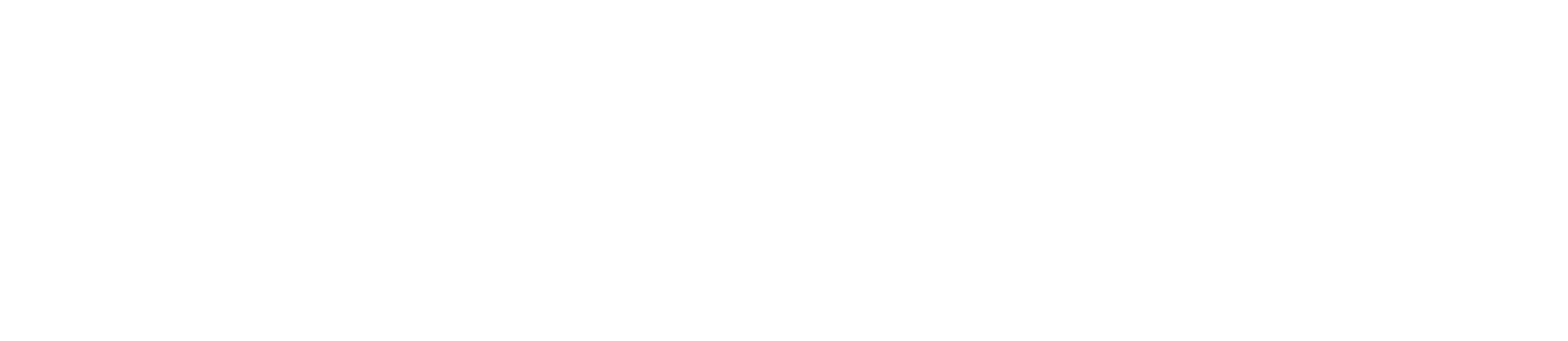 Zenith Intelligence